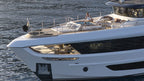 Majesty 100